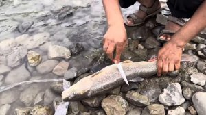 Fishing with papa 🎣mainai Buhut badi fish pakdii 😁 maza aya