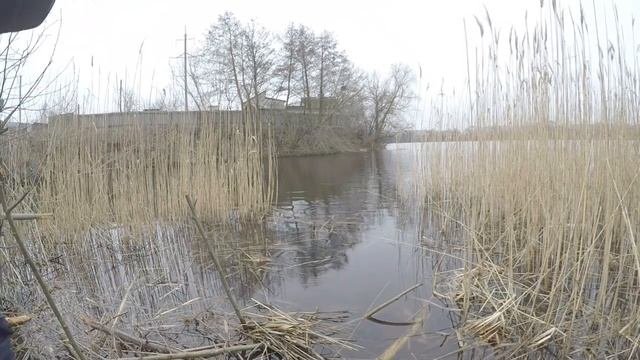 Первая рыбалка 🐟 на поплавок по открытой воде