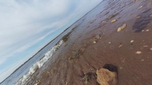 QooCam 3 _092024_1