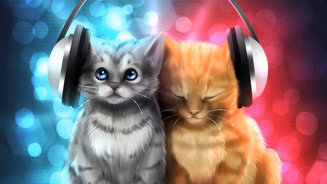 Музыка для кошек: кошачья музыка, чтобы помочь вашей подавленной кошке чувствовать себя лучше! смотреть онлайн