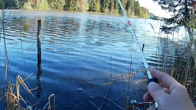 Весенний клев: Спиннинг на сломе погоды 🌪️🐟 что может быть лучше? 🎣
