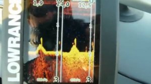 Эхолот Lowrance Elite 4x DSI. Затон в Красном Селище