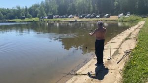 Вторая кряду поимка форели на стретч