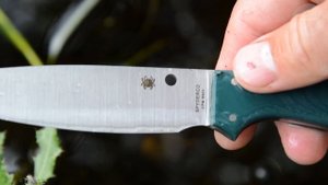 Spyderco Sprig. "Птице-форелевый" Фил Вилсон от Спаев.