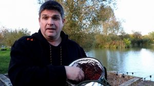 Back Of The Landing Net - Episode 145 - Wadmill Lake Todber Manor Fisheries October 2020