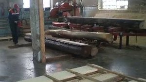 Ленточная пилорама Wood-Mizer LT-30