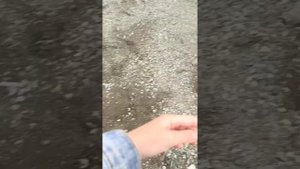 рыбалка на камбалу,Петропавловск Камчатский.