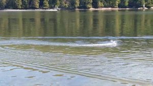 HJ808 rc speedboat in salt water 🚤