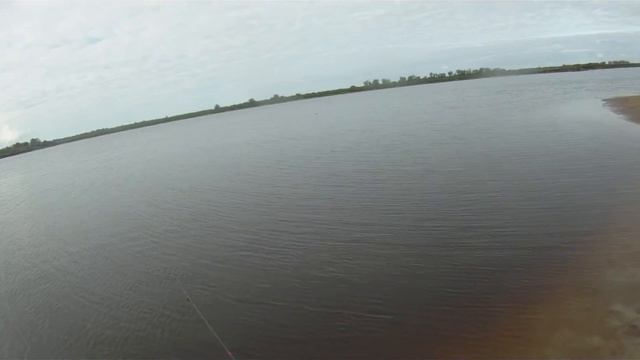 Zaco Terion 24 смотреть онлайн