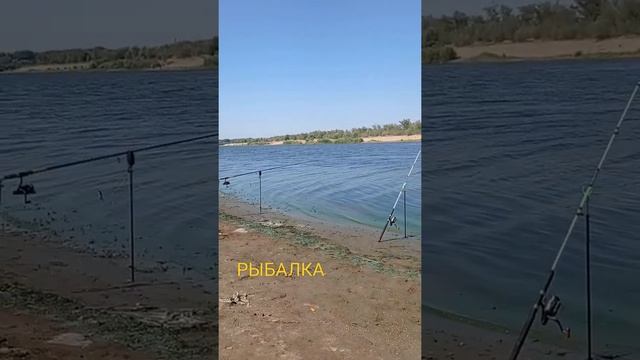 Рыбалка на Ахтубе смотреть онлайн