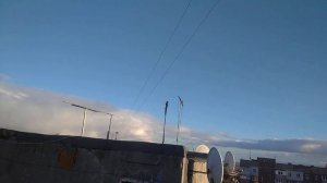 Как ворона ловит голубей