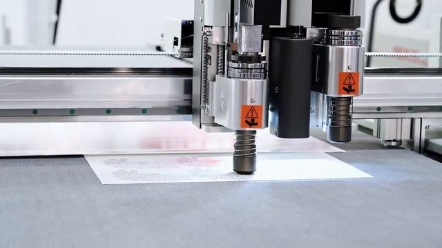 MTC Peacock Feather Paper Cutting #accuracy #cutting