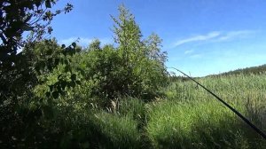 Щуки КУСАЮТ Щук 🎣 ГУРЬЯНОВО 🐟 июнь 2024