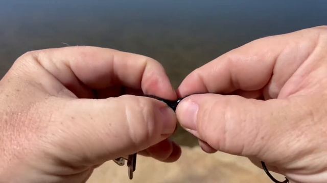 Save Money On Soft Plastics with SCREWLOCK LURES! смотреть онлайн