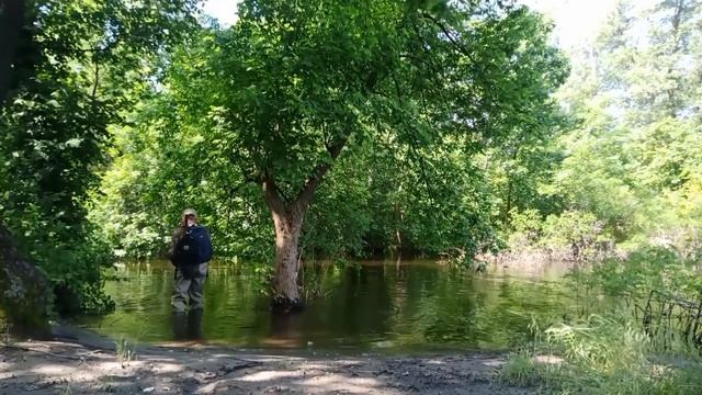 Голавль,Домаха 01 06 23 смотреть онлайн