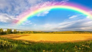 Аффирмация благодарности и благополучия