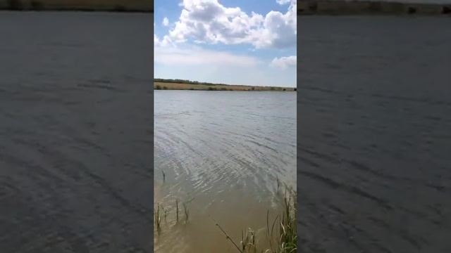 рыбалка в Анапе Родные просторы  сом