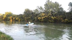 Haswing protruar 2hp 24V 109lb Trolling motor on boat  ( Elektromotor )