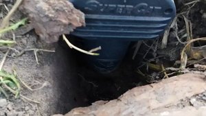 Кротоловка SuperCat