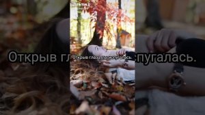 Фф про Драко Малфоя и Т/и "Обратный мир" 6 серия🐍💚