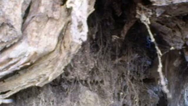 Сватово. смотреть онлайн