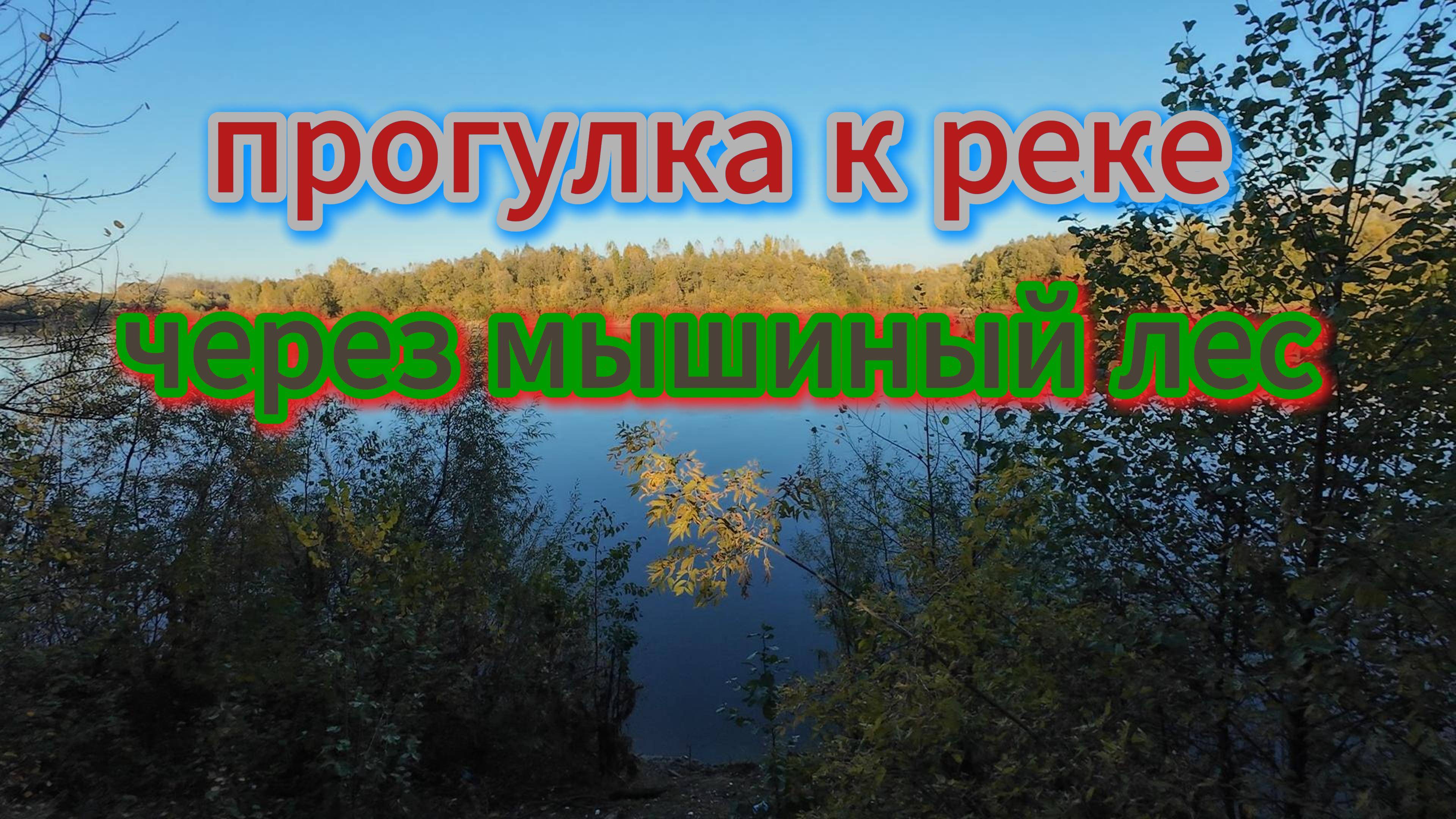 Прогулка к реке Уфа, через мышиный лес по народной тропе, октябрь 2024