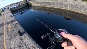 BFS Fishing for Perch in Ireland! (Bait Finesse System)