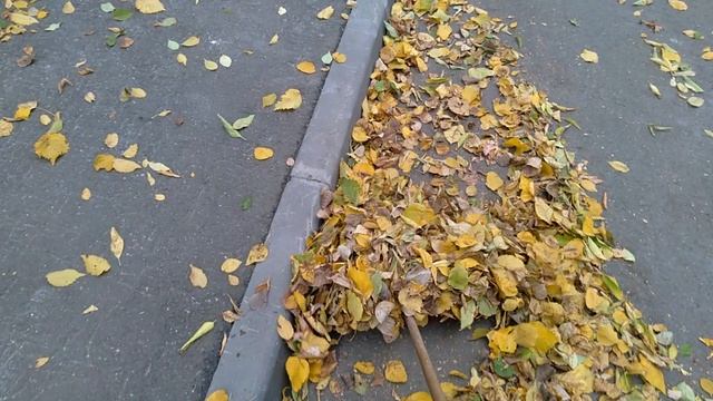 Момент