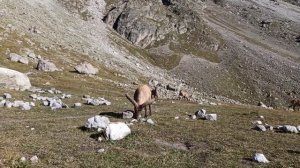 Поездка в альплагерь "Безенги"