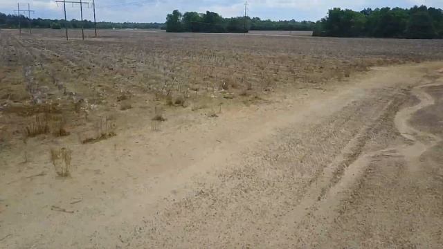 Flying Mavic Pro with Goggles, far & low смотреть онлайн