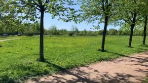 Новый Петергоф. Уютный пригород Питера, которому не нужны золотые фонтаны