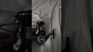 daiwa certate sw / lt size comparison