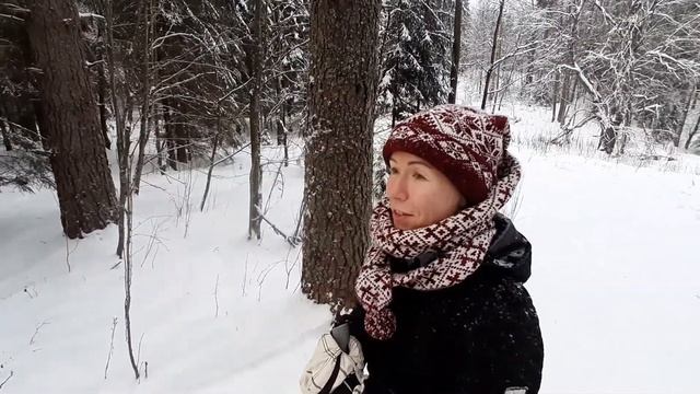 Где покататься на беговых лыжах в Санкт-Петербурге?Гарболово лыжная трасса.НАША ТРАССА.Прогулка. смотреть онлайн