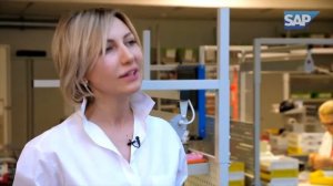 Система управления персоналом в Айкрафт