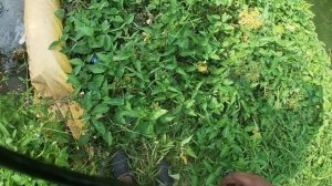 MRAC EP#62: Testing The PURELURE Telescopic Rod at River X