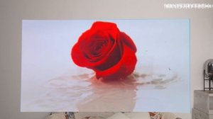 Thunderbird Air 1S Review | New Generation Consumer-Grade AR Glasses!