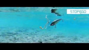 MEGABASS KONOSIRUS SWIMMER SK