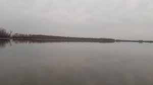 ПЕРВЫЙ ОПЫТ. РЫБАЛКА НА КРУЖКИ. ЛЕТНИЕ ЖЕРЛИЦЫ.
