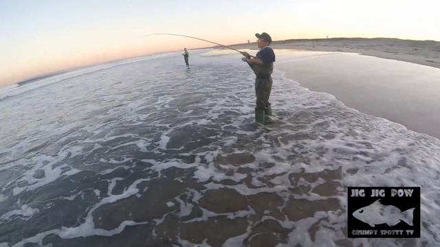 Perch Crack Gets Bit! | Barred Surf Perch