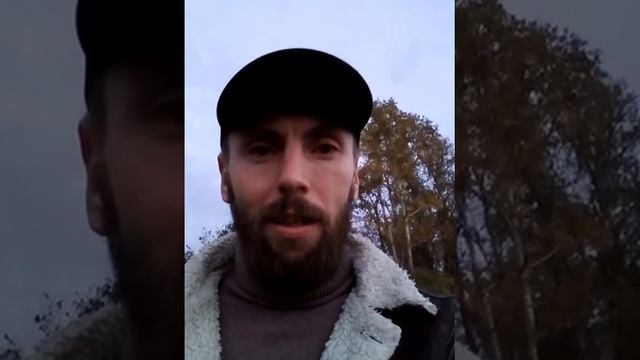 Иван-чай (кипрей) ферментированный. Доставка по России. смотреть онлайн