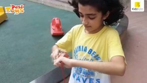 Wooden Spinning Tops  / Lattu /Bhawra / Bambaram Challenger Series