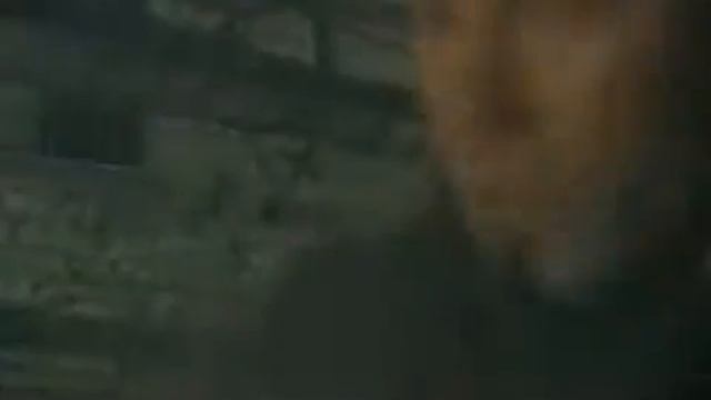 Apocalyptica & Lauri Ylönen - Life Burns смотреть онлайн