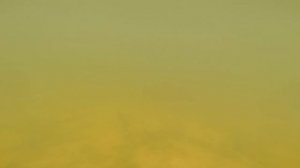 Щука под водой и краснопёрка, видео rybachil.ru