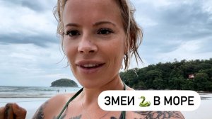 Пляжные будни 🏖️ Змеи в море 🐍