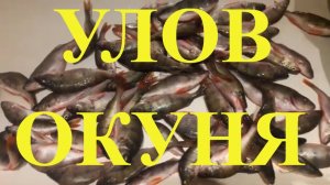 Окунь жареный чистка Палкино #potemkin3