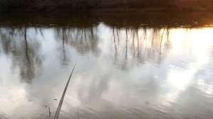 Первый день рыбалки на реке Колокша. Май месяц