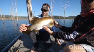 Fishing Edge - Okuma Helios Spin & Baitcast Reels