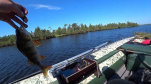 Озеро Вильент.Рыбалка на спиннинг.