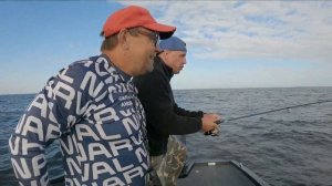 "Крокодилы " Рыбинского водохранилища
