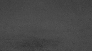 Поклевка налима . Подводная съемка